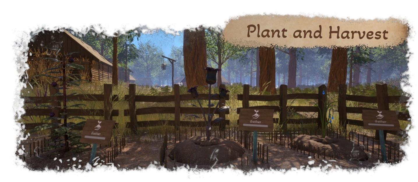 plant and harvest
